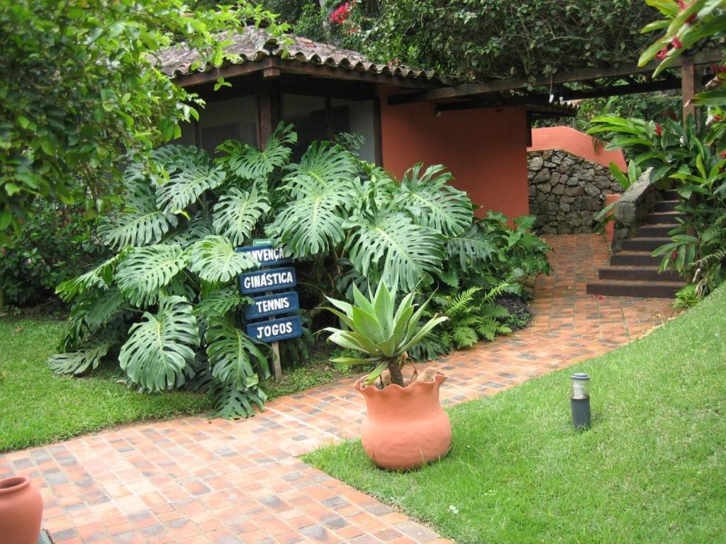 Standard Suite Garden view